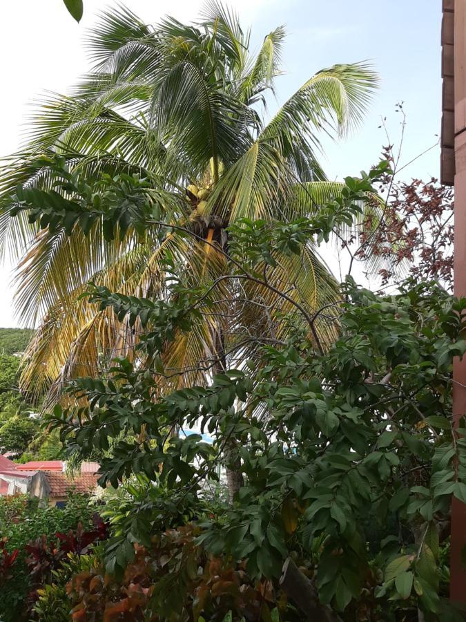 Les Hibiscus Apartment L'Anse Noire Luaran gambar